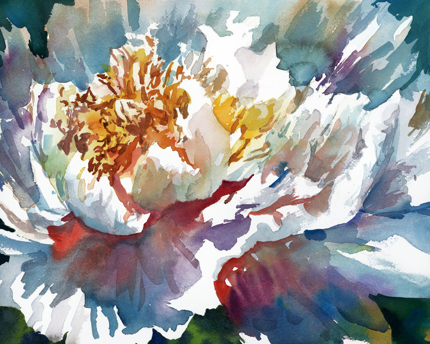 Peony Close Up