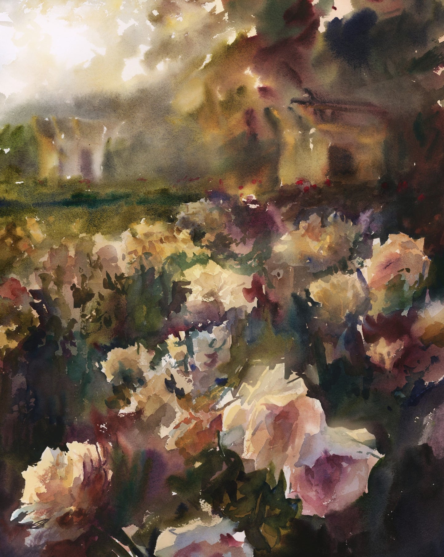 KC Loose Park Rose Garden
