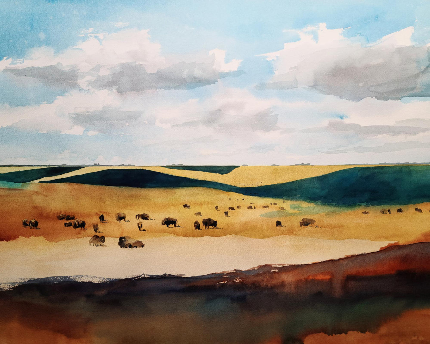 Flint Hills Landscape 4 Buffalo