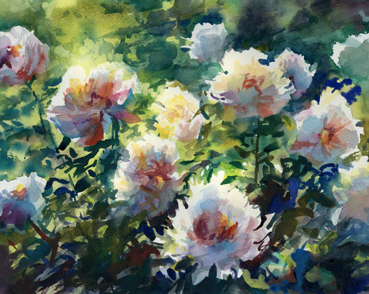 Peonies