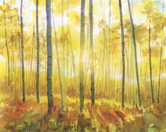 Aspen Grove